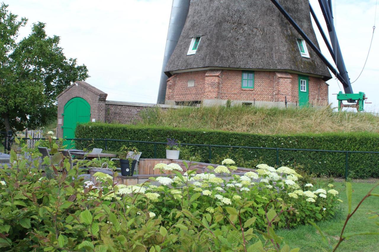 Bij Molen De Blazekop, Rustig En Landelijk Villa Ovezande Eksteriør billede