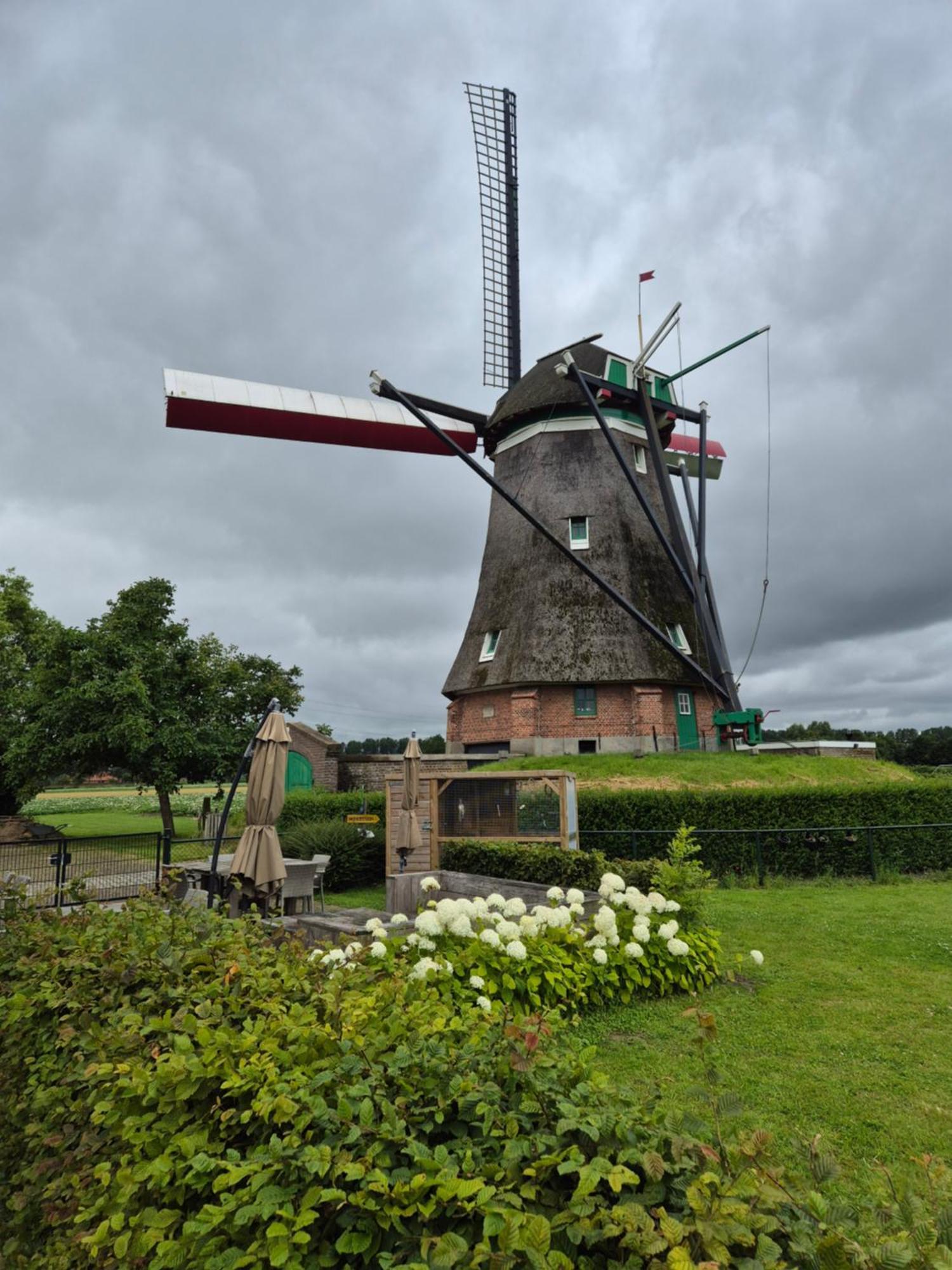 Bij Molen De Blazekop, Rustig En Landelijk Ovezande Eksteriør billede